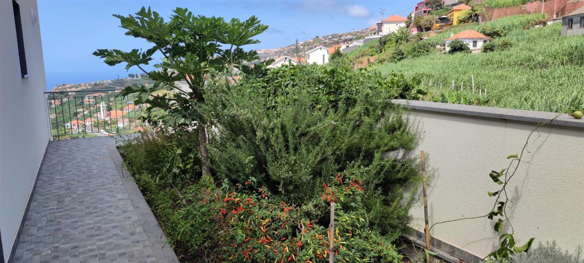 Casa Panorama Sol Vila Ponta do Sol  Exterior foto